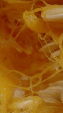 Dikey video. Yarım Küçük Hokkaido Balkabağı ve Dağılmış Tohumlar. Dolly kaydırıcı aşırı yakın çekim.