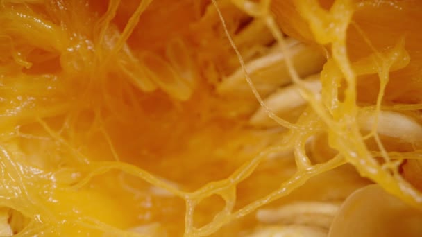 Juicy Pulp Seeds Pumpkin Interwoven Fibers Resembling Spiderweb Dolly Slider — Stock Video