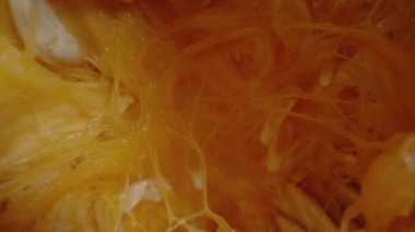 Bir Hokkaido Balkabağı 'nın Üst Manzarası' nda İçinde Hâlâ Tohumlar Var. Dolly kaydırıcı aşırı yakın çekim.