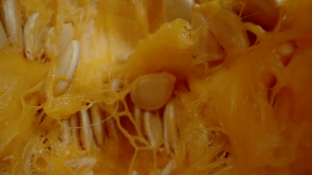 Küçük Bir Hokkaido Balkabağı Nın Yarısı Ahşap Masa Tohumlar Etrafa — Stok video