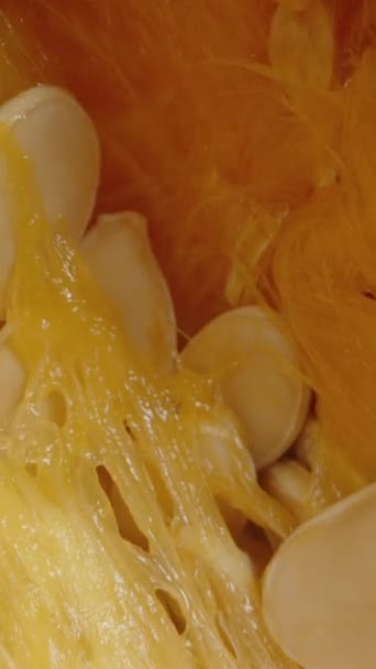 Dikey Video Tohumlar Bir Hokkaido Balkabağı Nın Yarısına Düşüyorlar Kamera — Stok video