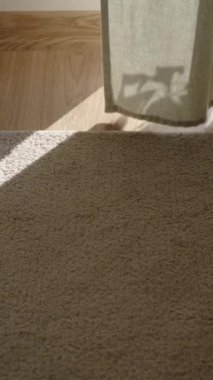 Dikey video. Yatak odasındaki ağır perde rüzgarda dalgalanır, bizi Güneş ışınlarından koruyarak huzurlu bir sabah uykusu sağlar..