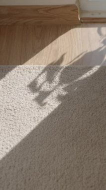 Dikey video. Uyanma zamanı, Ağır Perde Pencere 'den geri çekiliyor ve Sıcak Güneş Işıkları Yatak Odası' na akıyor, halının üzerine düşen bir bitki gölgesi. Mutlu Uyanışlar.