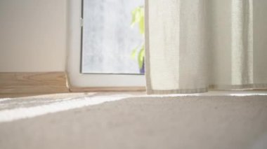 Yatak odasındaki yerden tavana pencereler, Rüzgar Sallanan Perdeler ve Küçük Bitki Yaprakları. Güneş ışınları odanın içinden akıyor..