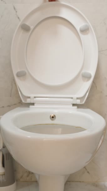 Vertical Video Toilet Seat Lids Soft Close Mechanism Slow Noiseless — Stock Video
