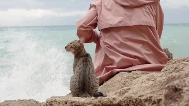 Eine Einsame Frau Und Eine Verirrte Katze Blicken Die Ferne — Stockvideo