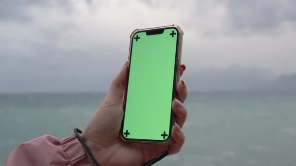 在海上和阴天的背景下 一只手拿着一部装有空绿色屏风和标志的手机 — 图库视频影像