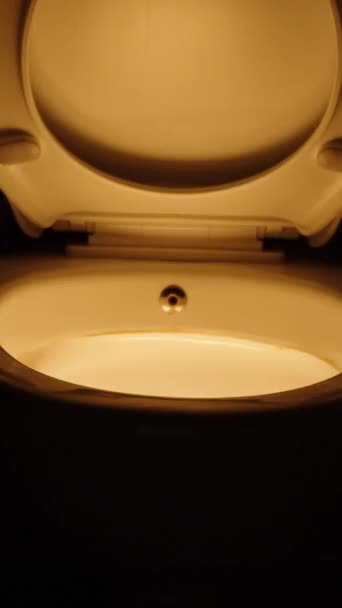 Verticale Video Licht Het Toilet Aan Terwijl Luiken Sluiten Duisternis — Stockvideo