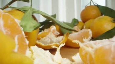 Dağınık yapraklı mandalinalar, bazıları çoktan soyulmuş, bir tane alıyorum. Dolly kaydırıcı aşırı yakın çekim.