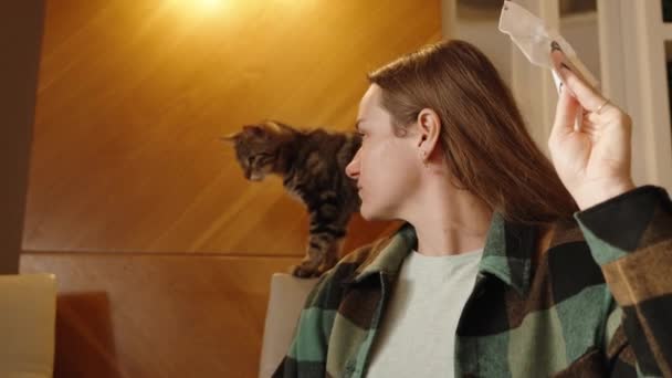 Смішна Кішка Ресторані Стрибає Стільцях Гостей Столами Поки Вони Їдять — стокове відео