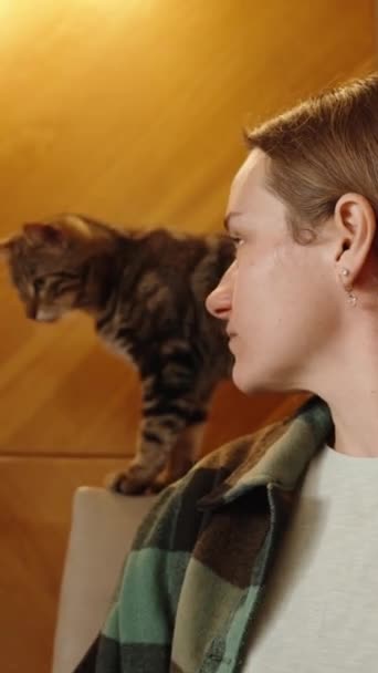 Вертикальне Відео Смішна Кішка Ресторані Стрибає Стільцях Гостей Столами Поки — стокове відео