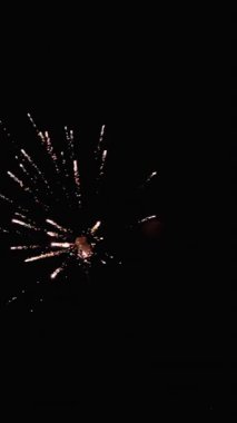 Dikey video. Kara Gökte Yavaşça Patlayan Havai fişekler, Çeşitli Renklerin kıvılcımları.
