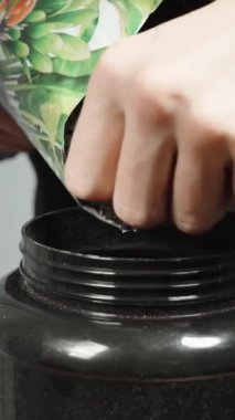 Dikey video. Tohum ekmek için bir adam çömleğe toprak döker. Yakın plan.