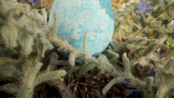 蓝色花朵中的草丛中藏着一只蓝色复活节彩蛋 滑翔机射击 — 图库视频影像