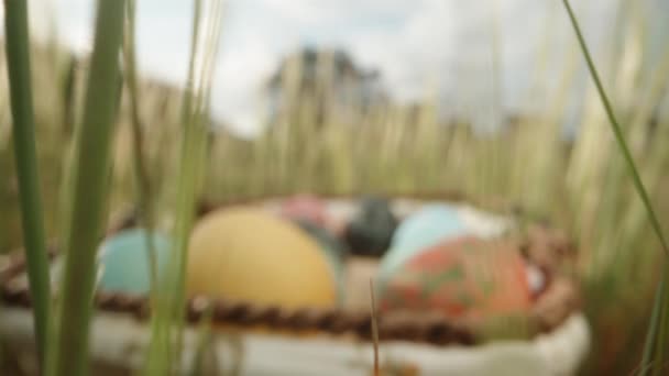 Paskalya Yumurtalı Bir Sepet Sunny Forest Çimlerde Saklıdır Dolly Kaydırıcı — Stok video