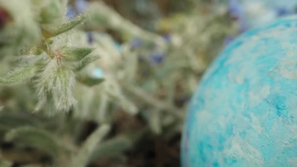 Ormandaki Mavi Çiçekler Arasında Bir Mavi Paskalya Yumurtası Güneş Işınlarıyla — Stok video