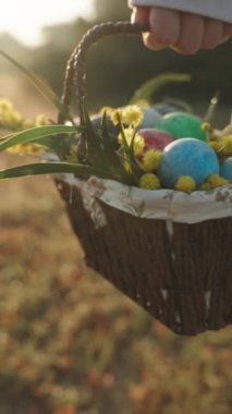 Dikey video. Parlak Güneş Işıklarının Altında Çiçekli Sepette Boyanmış Paskalya Yumurtaları. Beyazlı Kadın onları Orman Ormanı 'ndan Yavaş Hareket' e taşıyor..