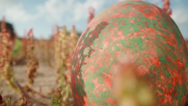 青い空の下の赤い花に隠されたイースター赤い卵 森から探す ドリースライダー極端なクローズアップ — ストック動画