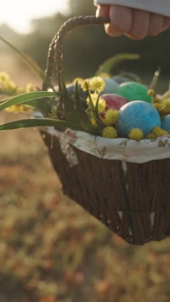 Video Verticale Uova Pasqua Dipinte Cestino Con Fiori Sotto Raggi — Video Stock
