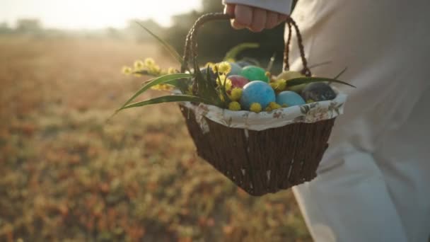 Parlak Güneş Işıklarının Altında Çiçekli Sepette Boyanmış Paskalya Yumurtaları Beyazlı — Stok video