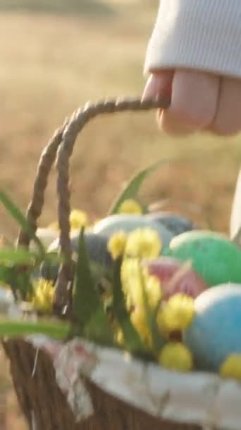 垂直录像 一个装有复活节彩蛋和花朵的篮子在一个女人的手里 一个阳光普照的清晨 在田野里散步 照相机中的太阳光反射 — 图库视频影像