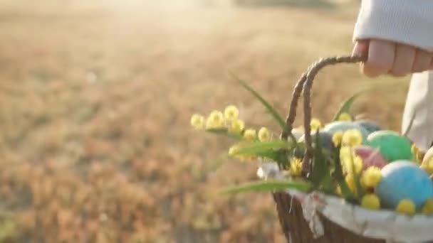Basket Easter Eggs Flowers Hands Woman Walk Field Sunny Morning — Stock Video