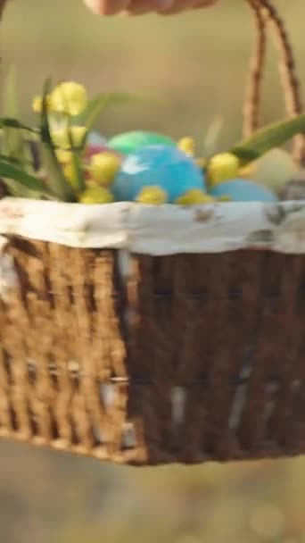 Vertikální Video Brzy Zrána Projde Lesem Žena Košíkem Namalovaných Velikonočních — Stock video