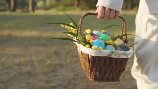 Elinde Bir Sepet Paskalya Yumurtası Güneşli Bir Sabahta Ormanda Yürüyen — Stok video