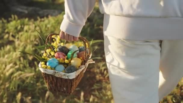 Procházka Ženou Bílém Košíkem Namalovaných Velikonočních Vajec Slunečný Les Úsvitu — Stock video
