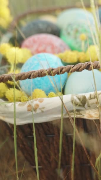 Dikey Video Ormandaki Islak Çimlerde Saklı Bir Sepetteki Paskalya Yumurtaları — Stok video