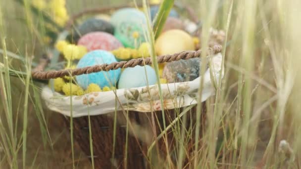 Ormandaki Islak Çimlerde Saklı Bir Sepetteki Paskalya Yumurtaları Yakın Plan — Stok video