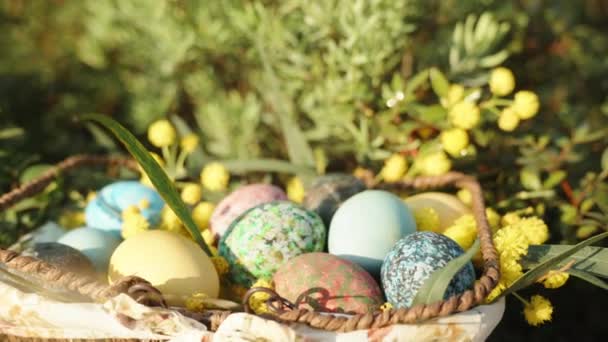 Çalılıklarda Saklı Paskalya Yumurtaları Çiçekleri Olan Sabah Güneşinin Işıklarıyla Aydınlatılan — Stok video