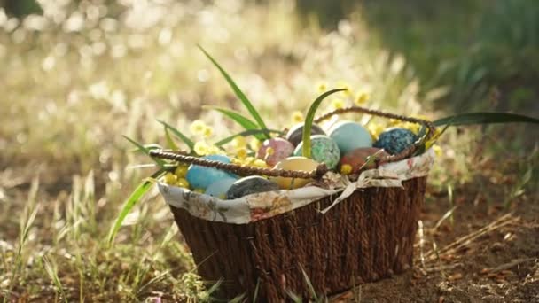 Huevos Pascua Pintados Una Cesta Los Rayos Del Sol Través — Vídeos de Stock