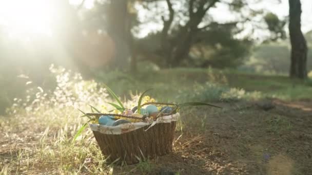 太阳光带着复活节彩蛋落在篮子里 复活节彩蛋矗立在树林中 — 图库视频影像