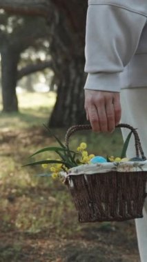 Dikey video. Ormanda Beyaz Giyen Bir Kadın Elinde Paskalya Yumurtasıyla Sepet Sallıyor. Güneş ışınları ağaçların arasından geçiyor..