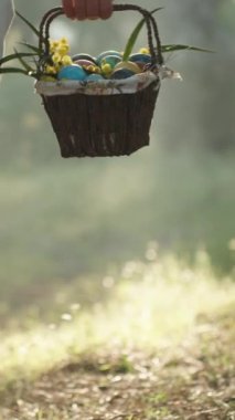 Dikey video. Beyaz Giyen Kadın, Paskalya Yumurtası Sepeti ile, Ormandaki Güneş Işıkları 'na doğru yürüyor, Sinema Işığı ve Nefes Buharı.