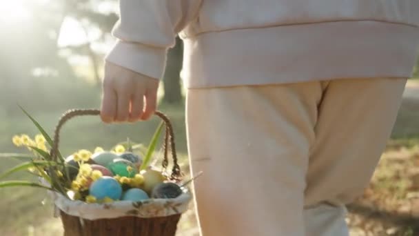 숲에서 부활절 달걀의 바구니와 화이트 스트롤에있는 햇빛을 우드랜드 설정에서 시네마틱 — 비디오