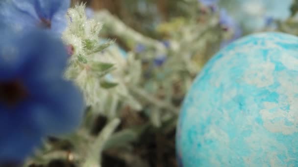 Ormandaki Mavi Çiçekler Arasında Bir Mavi Paskalya Yumurtası Güneş Işınlarıyla — Stok video