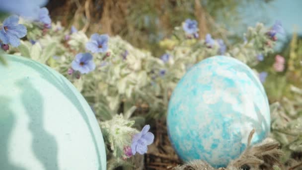 Розфарбовані Блакитні Великодні Яйця Ховаються Траві Квітами Сонячним Лісом Доллі — стокове відео