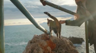 Bir Kadın Deniz kenarındaki kayalıklarda başıboş bir kediyi besliyor..