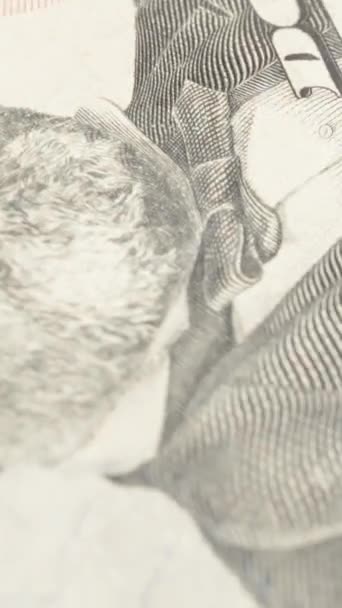 垂直录像 用总统肖像计算各种美元钞票的特写 — 图库视频影像