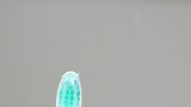 Біла Зубна Щітка Синьою Щетиною Концепція Чищення Догляду Зубами Вид — стокове відео
