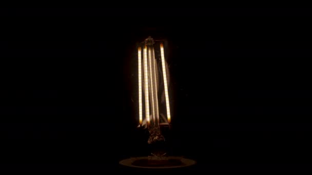 Uma Lâmpada Com Tiras Led Dentro Globo Ilumina Gradualmente Começa — Vídeo de Stock