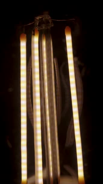 Вертикальное Видео Крупный План Лампы Светодиодными Нитями Внутри Медленно Светящимися — стоковое видео