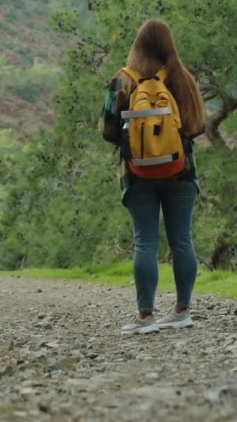 Verticale Video Jonge Vrouw Met Een Rugzak Een Rocky Mountain — Stockvideo