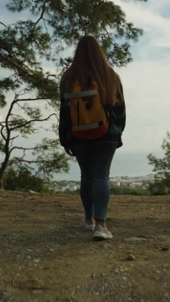 Vidéo Verticale Voyageur Une Jeune Femme Solitaire Dans Les Forêts — Video