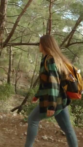 Függőleges Videó Egy Meredek Földút Mentén Erdőben Egy Fiatal Hátizsákkal — Stock videók