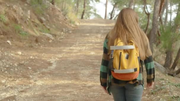 Следуя Молодой Женщиной Ярким Рюкзаком Поднимается Высокую Гору Идя Лесной — стоковое видео