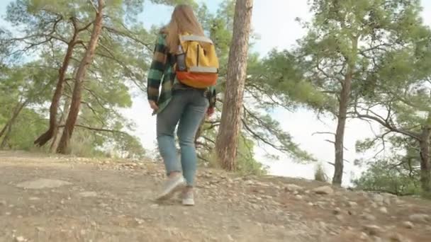 若い女性は 彼女の肩に明るいバックパックだけを持って一人で山を昇格します 森の中の明るい天気 ストーニー スティープ ロード — ストック動画