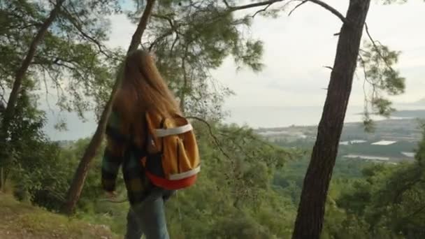 Young Traveler Backpack Her Shoulder Walks Forest Road High Mountains — Stock Video